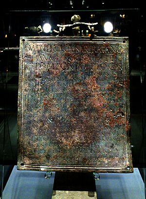 Tabula Hospitalis Baetulo