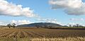 TheWrekin