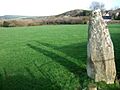 The Lady Stone near Dinas - geograph.org.uk - 312333