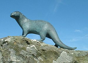 The Otter - geograph.org.uk - 214711