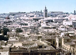 Tunisia view 1890s2