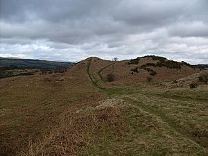 Twin Peaks on Croy Hill - geograph.org.uk - 1509674
