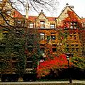 University of Chicago at Fall