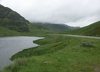 View North from A83 alongside Loch Restil - geograph.org.uk - 20557