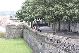 Walls of Derry (11), August 2009