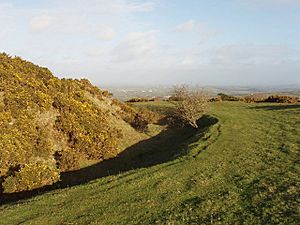 Warbstow Bury - geograph.org.uk - 712235.jpg