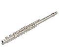 Western Concert Flute