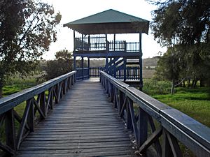 Yellagonga Studmaster Park Lookout