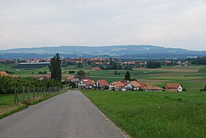 2012-05-26-Seeland (Foto Dietrich Michael Weidmann) 308