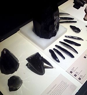 20141231 155025- Prehistoric- Obsidian-Turkey-cropped