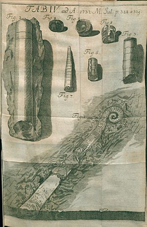 Johann Philipp Breyne Facts for Kids