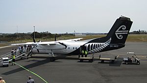 Air New Zealand Q300 ZK-NEZ Kerikeri