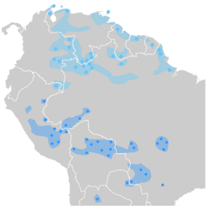 Arawak-Languages