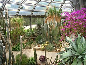 Botanischer Garten, Berlin-Dahlem - view - IMG 8769