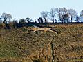 Broad Town White Horse, from Christ Church, Broad Town - geograph.org.uk - 1015494