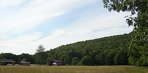 Brookwood Farm MA 01