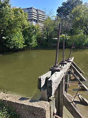 C&O Canal water gate with Watergate complex in background