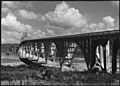COOS BAY BRIDGE - NARA - 520141