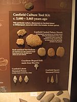 Canfield Island Stone Tools