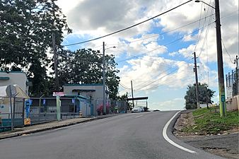 Carretera PR-803, Corozal, Puerto Rico (2)
