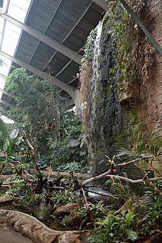 Chester Zoo, Tropical Realm waterfall