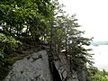 Chickies Rock cliff
