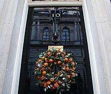 Christmas 2019 Downing Street Decoration (2)