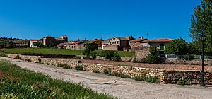 Cincovillas, Guadalajara, España, 2017-05-23, DD 23.jpg