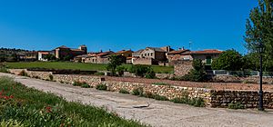 Cincovillas, Guadalajara, España, 2017-05-23, DD 23.jpg