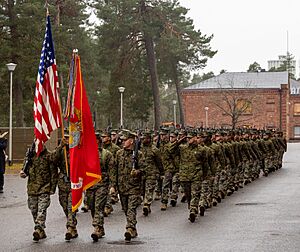 Combat Logistics Battalion 6 Participates In Swedish Heritage Parade on Nylands Brigade (8138162)