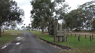 Cooloola Coast Cemetery, Toolara Forest, 2016 01.jpg