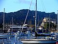 DowntownMonterey&Harbor