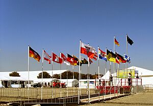 Flags at Jalsa Salana Germany 2009