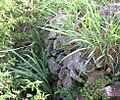Fort Charlotte, Tortola 01
