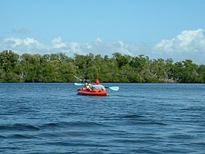 GAEA Guides - Guided Kayak Nature Tours paddling on Estero Bay
