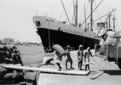 Hafenarbeiter bei der Verladung von Sackgut - MS Rothenstein NDL, Port Sudan 1960