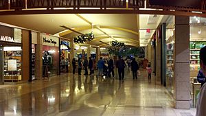 Hallway to food court at Shops at Willowbend-January 2, 2012