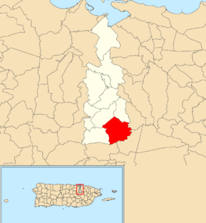 Location of Hato Nuevo within the municipality of Guaynabo shown in red
