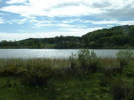 A lake, shrubs and reeds in foreground, wooded slopes beyond, small building visible among trees