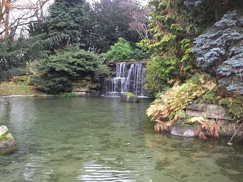 Highfields Park Cascade 9121