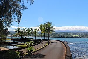 Hilo Bay from Liliu'okalani Park