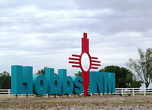 Hobbs NM (35751087780)