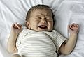 Human-Male-White-Newborn-Baby-Crying