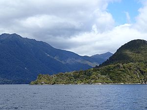 Indian Island Fiordland New Zealand Aotearoa