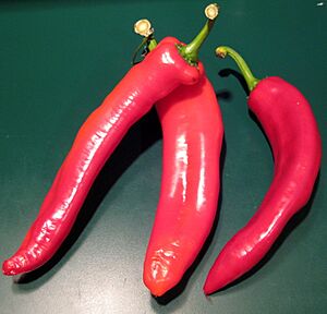 Italian sweet peppers