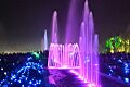 Jublie Park on March Night
