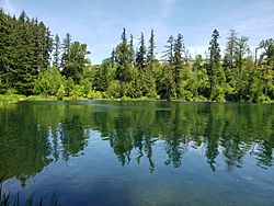 Lake Wilderness in Maple Valley