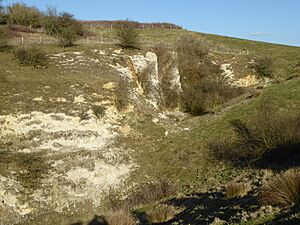 Lenham Quarry 1