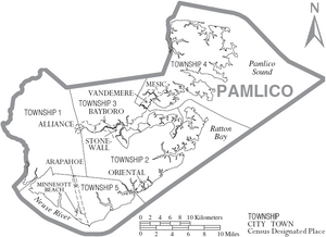 Map of Pamlico County North Carolina With Municipal and Township Labels