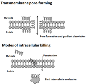 Modes of action